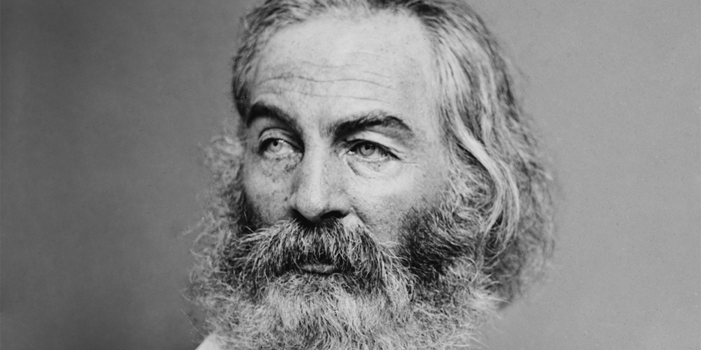 Walt Whitman Northern Fir Quality Beard Oil